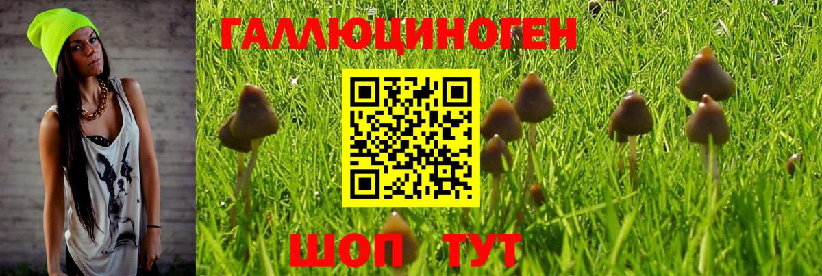 Батайск  Галлюциногенные грибы Magic Shrooms  Вход с VPN 